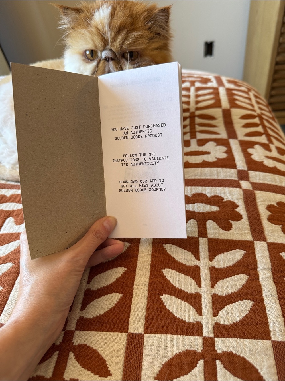 Golden Goose White Leather Super Star Sabot with Platinum Star - Picture 8 of 13